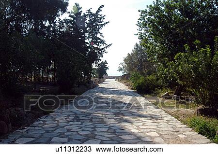 Tunis, Tunisia, arabic, islam, Carthage, cartage, karthago View Large Photo Image Stock Image - Tunis, Tunisia, arabic, islam, Carthage, cartage, karthago. Fotosearch