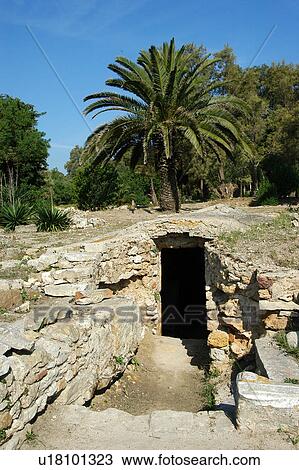 Tunis, Tunisia, arabic, islam, Carthage, cartage, karthago View Large Photo Image Stock Image - Tunis, Tunisia, arabic, islam, Carthage, cartage, karthago. Fotosearch