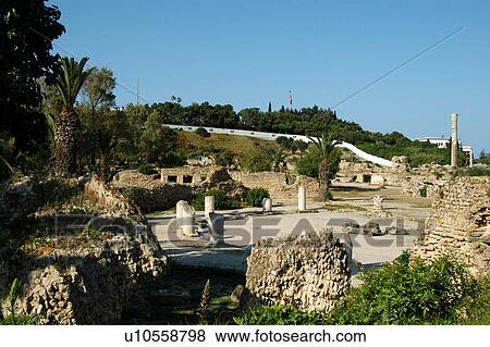 Tunis, Tunisia, arabic, islam, Carthage, cartage, karthago View Large Photo Image Stock Photo - Tunis, Tunisia, arabic, islam, Carthage, cartage, karthago. Fotosearch