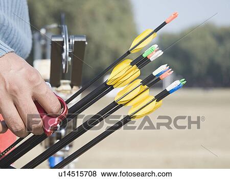 Stock Photo - Close-up of a person's hand holding arrows. Fotosearch