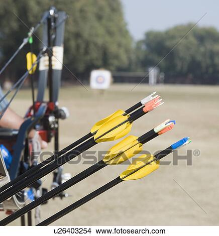 Close-up of bow and arrows View Large Photo Image Picture - Close-up of bow and arrows. Fotosearch