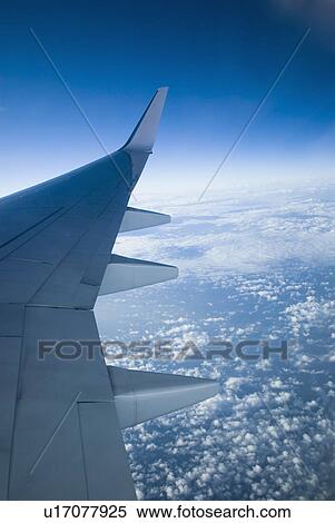 Close-up of the wing of an airplane View Large Photo Image Stock Photography - Close-up of the wing of an airplane. Fotosearch