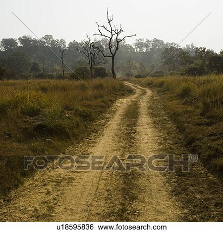 Stock Photograph - Dirt road passing through a landscape, Jim Corbett National Park, Pauri Garhwal, Uttarakhand, India. Fotosearch