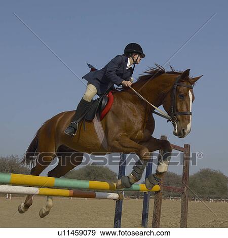 Stock Photo - Female jockey riding a horse and jumping over the hurdle. Fotosearch