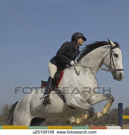 Female jockey riding a horse and jumping over a hurdle View Large Photo Image Stock Photograph - Female jockey riding a horse and jumping over a hurdle. Fotosearch