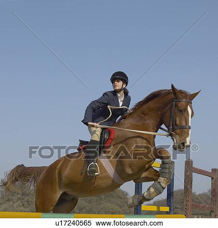 Female jockey riding a horse and jumping over the hurdle View Large Photo Image Stock Photography - Female jockey riding a horse and jumping over the hurdle. Fotosearch