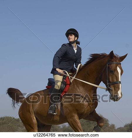 Stock Photography - Female jockey riding a horse. Fotosearch