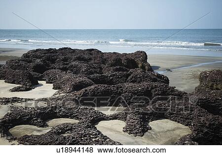 High angle view of rock formations on the beach, Mandrem Beach, Goa, India View Large Photo Image Stock Photo - High angle view of rock formations on the beach, Mandrem Beach, Goa, India. Fotosearch