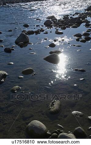 High angle view of rocks in water, Jim Corbett National Park, Pauri Garhwal, Uttarakhand, India View Large Photo Image Stock Image - High angle view of rocks in water, Jim Corbett National Park, Pauri Garhwal, Uttarakhand, India. Fotosearch