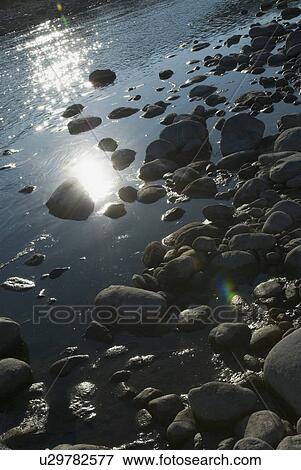 Stock Photo - High angle view of rocks in water, Jim Corbett National Park, Pauri Garhwal, Uttarakhand, India. Fotosearch