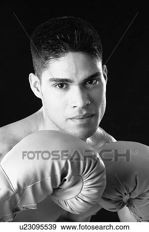 Portrait of a boxer wearing boxing gloves View Large Photo Image Stock Photo - Portrait of a boxer wearing boxing gloves. Fotosearch