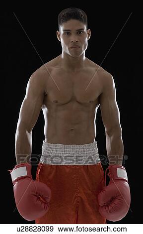 Portrait of a boxer wearing boxing gloves View Large Photo Image Stock Photo - Portrait of a boxer wearing boxing gloves. Fotosearch