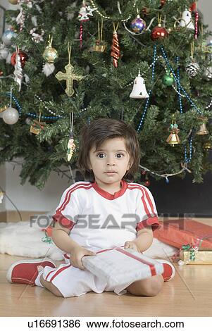 Portrait of a boy sitting in front of a Christmas tree and holding a Christmas present View Large Photo Image Stock Photograph - Portrait of a boy sitting in front of a Christmas tree and holding a Christmas present. Fotosearch