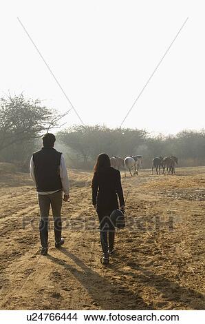 Picture - Rear view of a couple walking in a field. Fotosearch