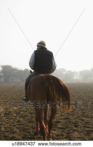 Rear view of a man riding a horse View Large Photo Image Stock Photo - Rear view of a man riding a horse. Fotosearch