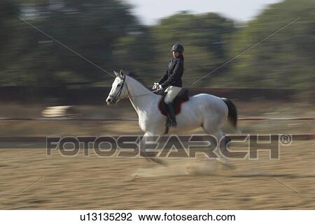 Side profile of a female jockey riding a horse View Large Photo Image Stock Image - Side profile of a female jockey riding a horse. Fotosearch