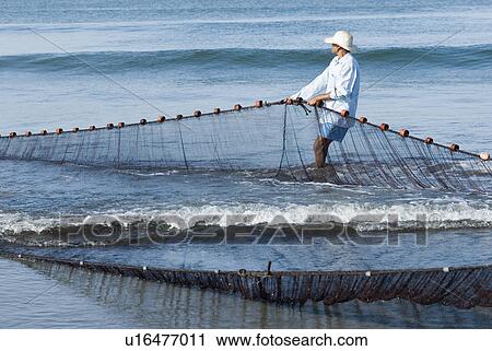 Stock Image - Side profile of a man pulling a fishing net on the beach, Morjim Beach, Goa, India. Fotosearch
