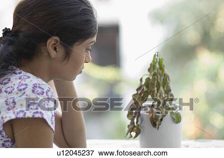 Stock Photo - Side profile of a young woman looking at a dried plant. Fotosearch