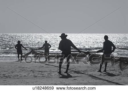 Silhouette of four men holding a fishing net on the beach, Morjim Beach, Goa, India View Large Photo Image Stock Photo - Silhouette of four men holding a fishing net on the beach, Morjim Beach, Goa, India. Fotosearch