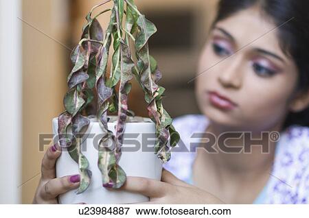 Stock Photo - Young woman holding a dried plant. Fotosearch