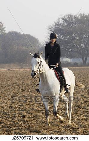 Young woman riding a horse View Large Photo Image Stock Image - Young woman riding a horse. Fotosearch
