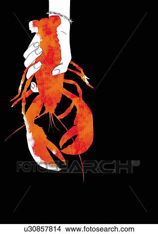 Picture - A hand holding a crab, black background. Fotosearch