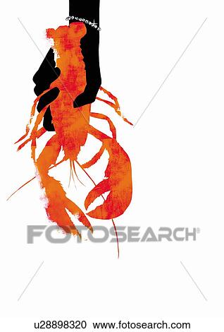 A hand holding a crab, white background View Large Photo Image Stock Image - A hand holding a crab, white background. Fotosearch