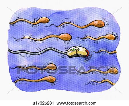 Stock Image - Handshake over computer with arrow going up. Fotosearch