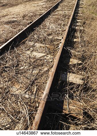 Abandoned railroad tracks View Large Photo Image Stock Photo - Abandoned railroad tracks. Fotosearch