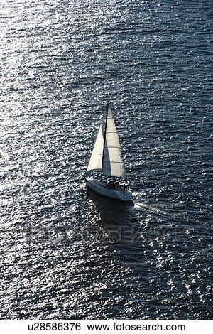 Aerial view of sailboat in Sydney, Australia View Large Photo Image Stock Photograph - Aerial view of sailboat in Sydney, Australia. Fotosearch