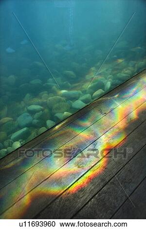 Stock Image - Aquarium with rainbow light passing through water onto wood paneling. Fotosearch