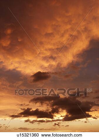 Beautiful clouds in orange-yellow sky View Large Photo Image Stock Image - Beautiful clouds in orange-yellow sky. Fotosearch