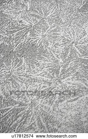 Designs made in sand by crab in Daintree Rainforest, Australia View Large Photo Image Picture - Designs made in sand by crab in Daintree Rainforest, Australia. Fotosearch