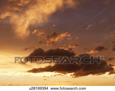 Picture - Fluffy clouds in orange-colored sky at sunset. Fotosearch