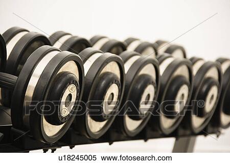 Hand weights on rack at gym View Large Photo Image Stock Photography - Hand weights on rack at gym. Fotosearch