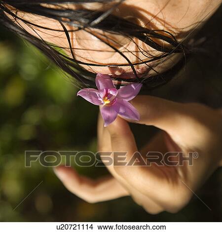 High angle view of mid-adult female holding flower to her lips View Large Photo Image Picture - High angle view of mid-adult female holding flower to her lips. Fotosearch