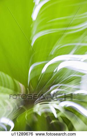 Motion blur abstract with green. View Large Photo Image Stock Photograph - Motion blur abstract with green.. Fotosearch