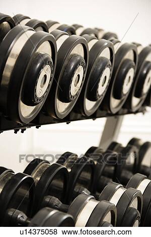 Rack of hand weights on rack View Large Photo Image Stock Photo - Rack of hand weights on rack. Fotosearch