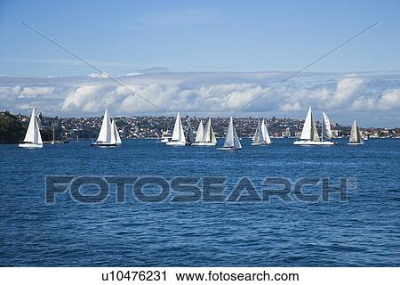 Sailboats on water in Sydney, Australia. View Large Photo Image Stock Image - Sailboats on water in Sydney, Australia.. Fotosearch