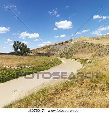 Stock Image - Scenic landscape with muddy creek and tree.. Fotosearch