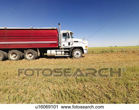 Side view of semi truck in agricultural field. View Large Photo Image Stock Image - Side view of semi truck in agricultural field.. Fotosearch