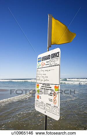 Sign and flag on beach in Surfers Paradise, Australia with lifeguard schedule View Large Photo Image Stock Photograph - Sign and flag on beach in Surfers Paradise, Australia with lifeguard schedule. Fotosearch