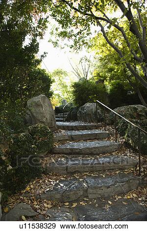 Stock Photo - Stone stairs in outdoor garden in Sydney, Australia.. Fotosearch