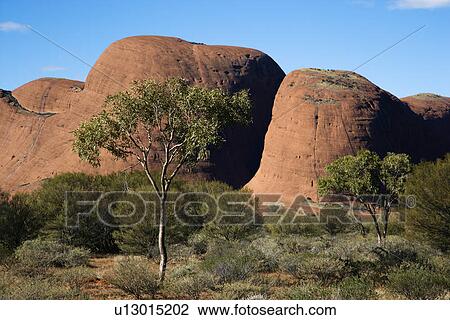 The Olgas rock formation in Uluru Kata Tjuta National Park, Australia. View Large Photo Image Stock Image - The Olgas rock formation in Uluru Kata Tjuta National Park, Australia.. Fotosearch