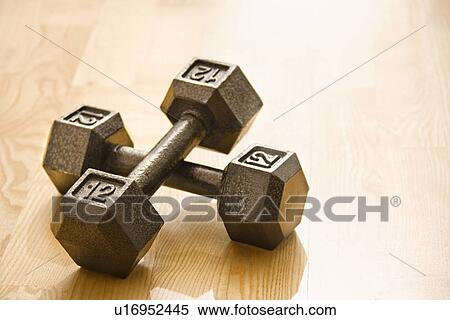 Stock Photography - Twelve pound hand weights still life. Fotosearch