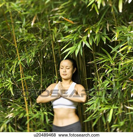 Woman in fitness attire standing in yoga position in bamboo forest View Large Photo Image Stock Photo - Woman in fitness attire standing in yoga position in bamboo forest. Fotosearch