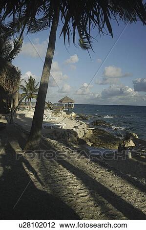 Beach and palmtrees on Raiatia, French Polynesia, Southern Pacific Ocean View Large Photo Image Stock Image - Beach and palmtrees on Raiatia, French Polynesia, Southern Pacific Ocean. Fotosearch