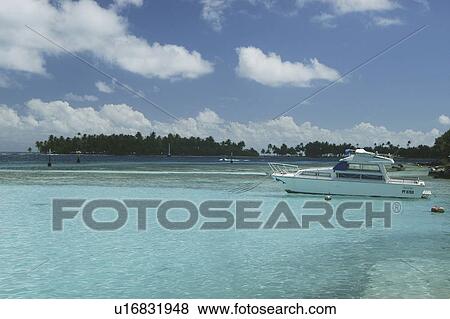 Dive boat at shore with clear blue water, Tahiti, French Polynesia, Southern Pacific Ocean View Large Photo Image Stock Photo - Dive boat at shore with clear blue water, Tahiti, French Polynesia, Southern Pacific Ocean. Fotosearch