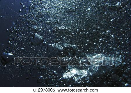 Diver Bubbles. Red Sea Egypt View Large Photo Image Stock Photography - Diver Bubbles. Red Sea Egypt . Fotosearch