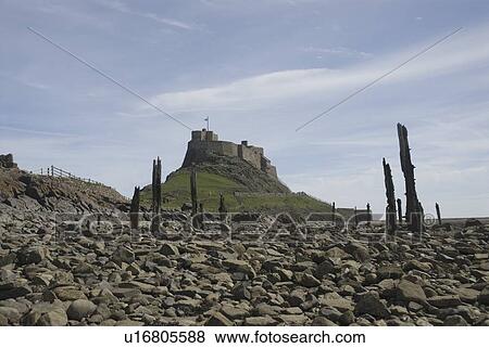 Holy Island or Lindisfarne Castle (view from shore with posts from old ruined pier), Holy Island, Northumberland, UK. View Large Photo Image Stock Photo - Holy Island or Lindisfarne Castle (view from shore with posts from old ruined pier), Holy Island, Northumberland, UK.. Fotosearch
